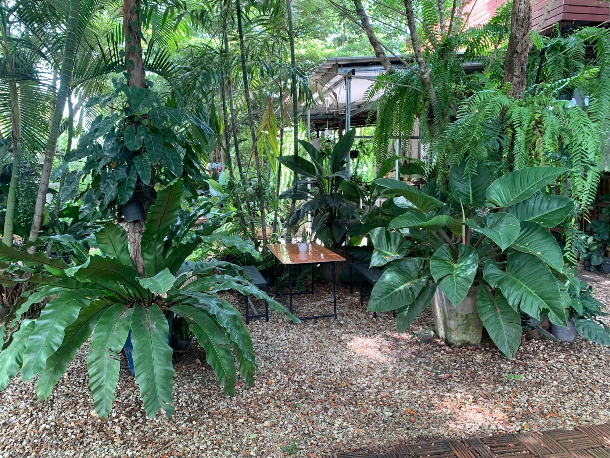 Baan Suan Duang Porn Resort Ban Phae  Екстер'єр фото